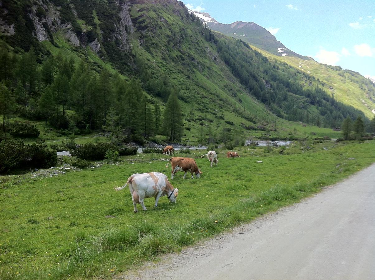 Scol Sporthotel Grossglockner Кальс-ам-Гросглоккнер Экстерьер фото